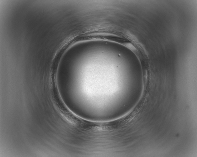 X0000067930250200604131430