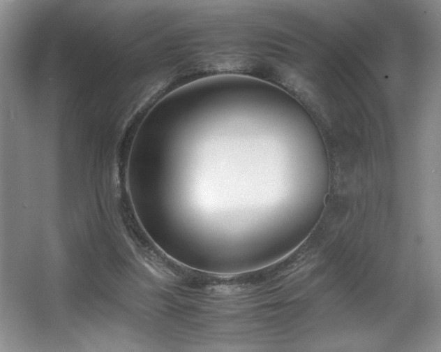 X0000067930251200604131430