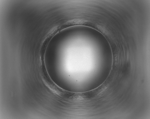 X0000067930254200604131430