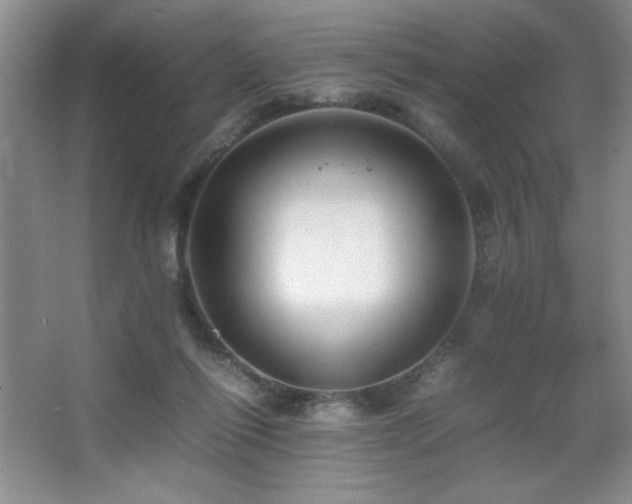 X0000067930262200604131430