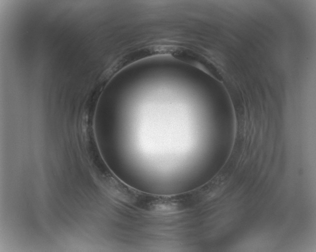 X0000067930263200604131430