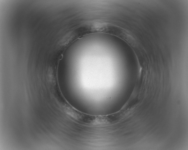 X0000067930270200604131430
