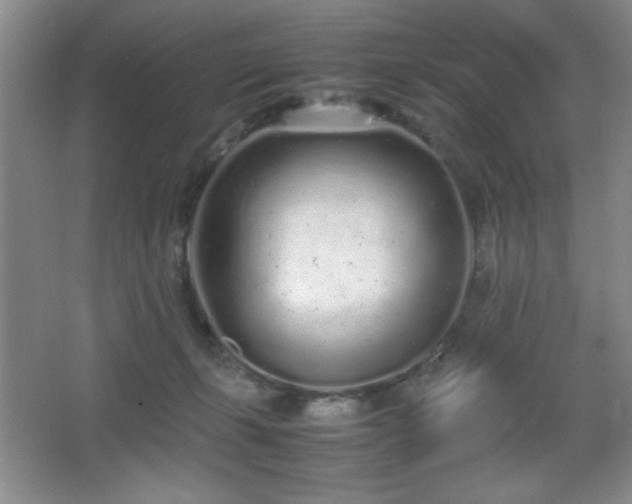 X0000067930271200604131430