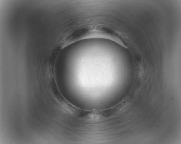 X0000067930272200604131430