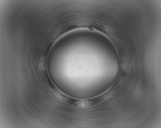 X0000067930273200604131430