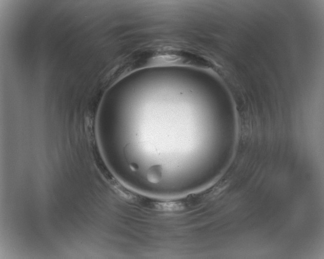 X0000067930281200604131430