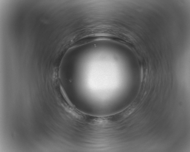 X0000067930284200604131430