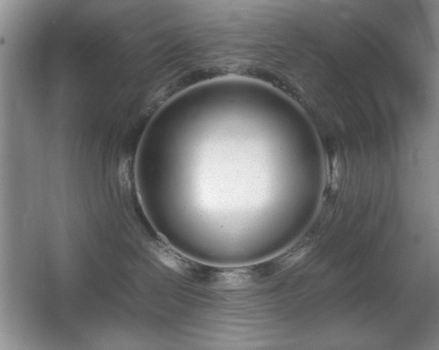 X0000067930286200604131430