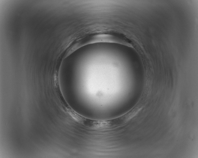 X0000067930288200604131431
