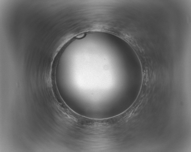 X0000067930292200604131430