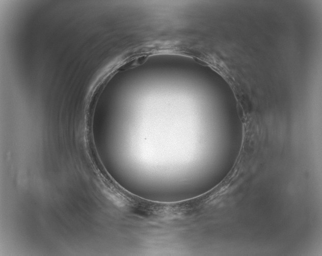 X0000067930293200604131430