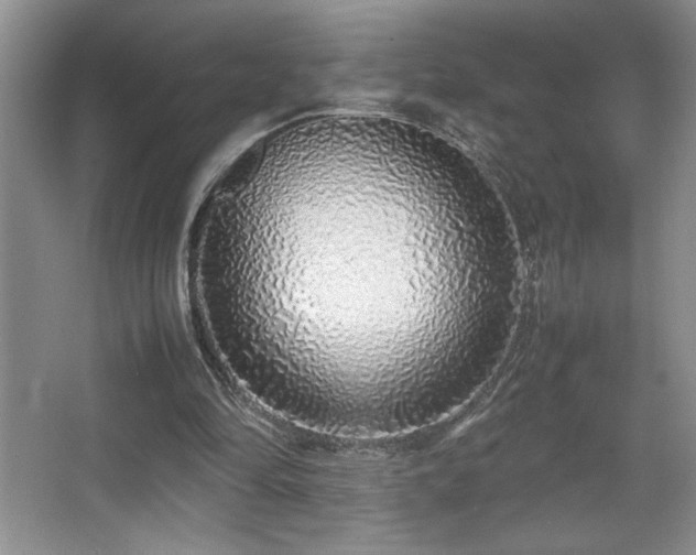 X0000067930294200604131430