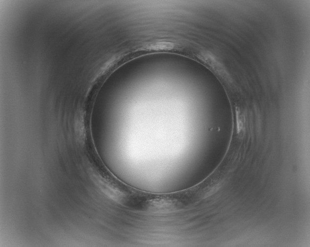 X0000067930300200604131430