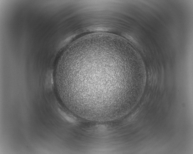 X0000067930302200604131430