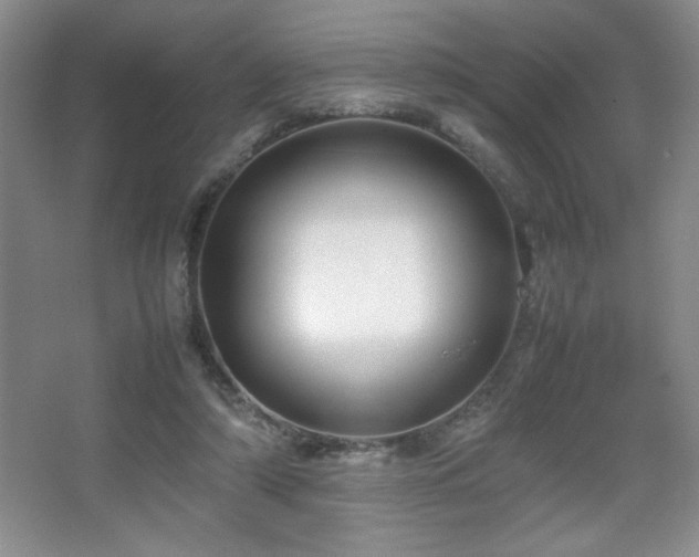 X0000067930306200604131429