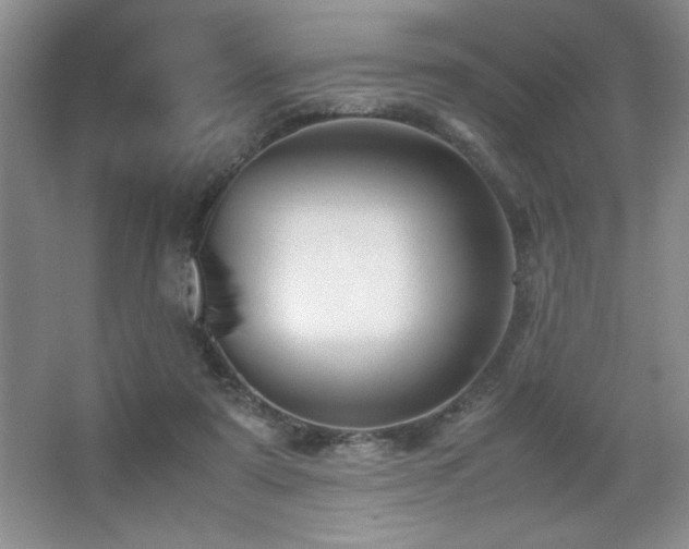 X0000067930307200604131429