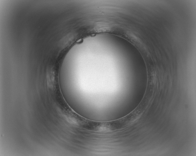 X0000067930308200604131429