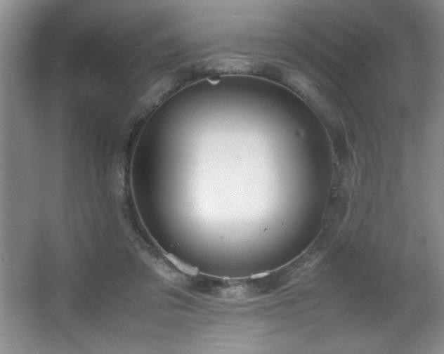 X0000067930309200604131429