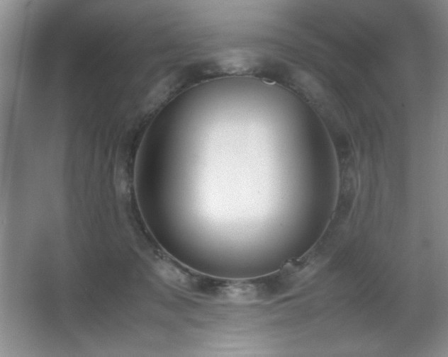 X0000067930317200604131429