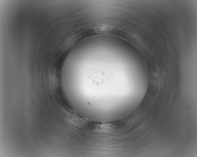 X0000067930324200604131429