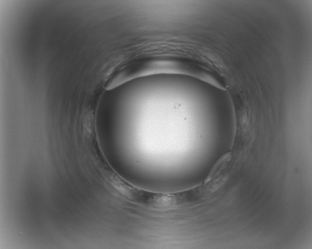 X0000067930325200604131429