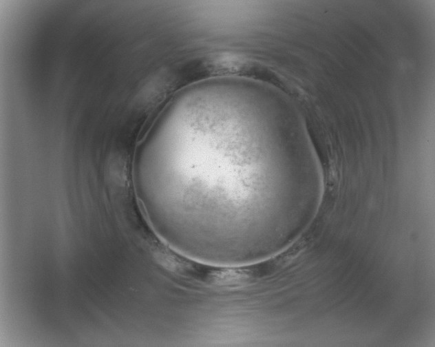 X0000067930331200604131429