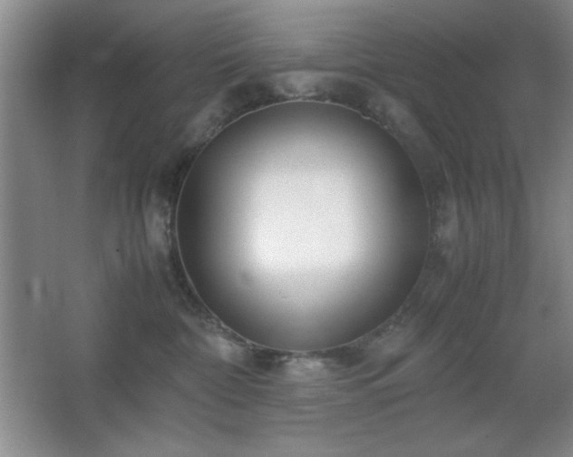 X0000067930332200604131429