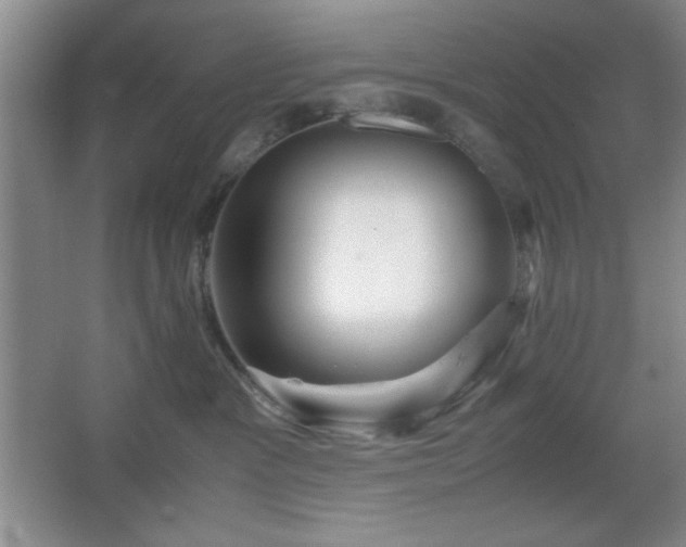 X0000067930333200604131429