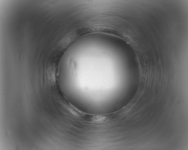 X0000067930334200604131429