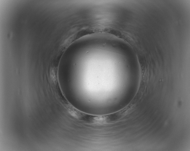 X0000067930335200604131429