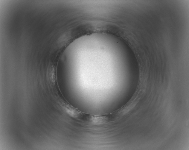 X0000067930336200604131429