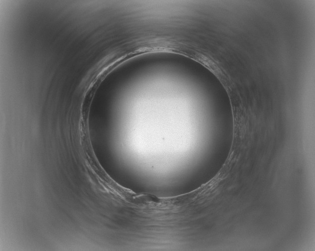 X0000067930338200604131428