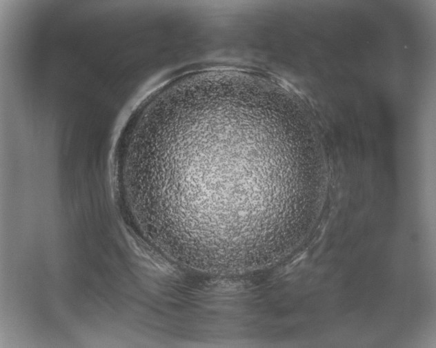 X0000067930343200604131428
