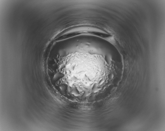 X0000067930347200604131428