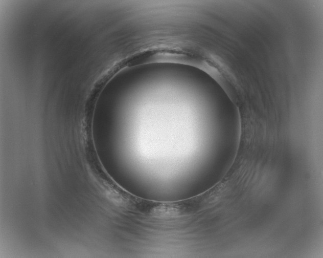 X0000067930354200604131428