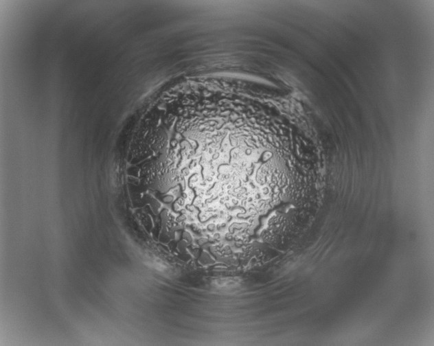 X0000067930355200604131428