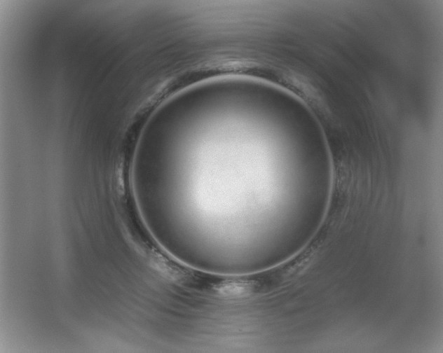 X0000067930358200604131428