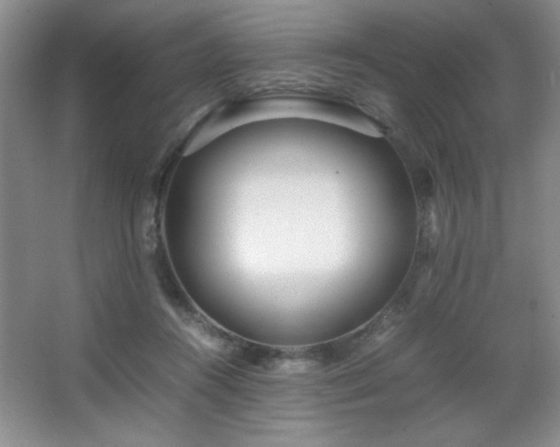 X0000067930360200604131429