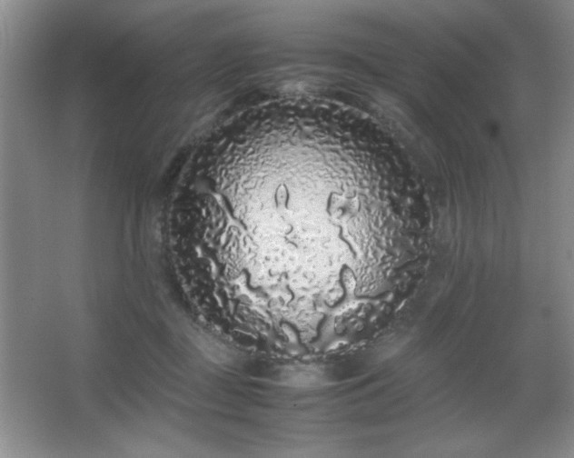 X0000067930363200604131429