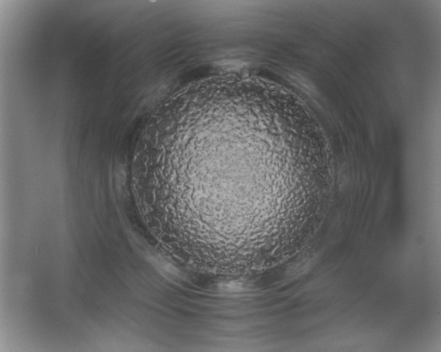 X0000067930365200604131429