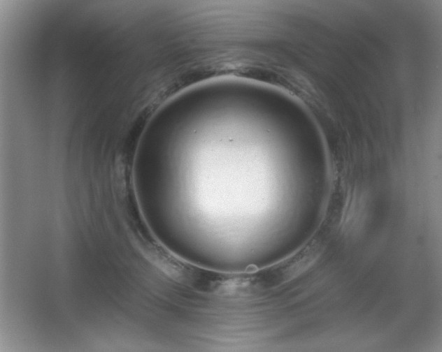 X0000067930366200604131429