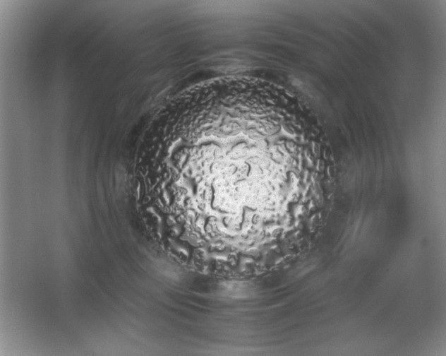 X0000067930371200604131429