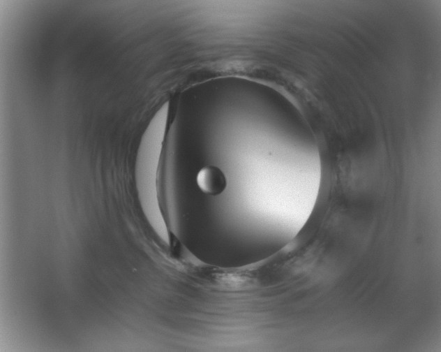 X0000067930380200604131429