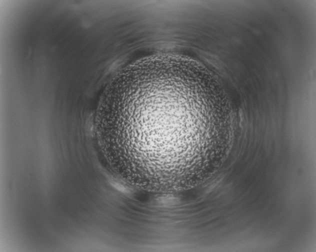 X0000067930383200604131429