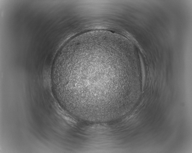 X0000067930386200604131428