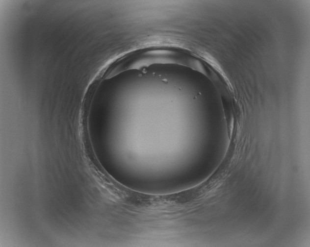 X0000067930387200604131428