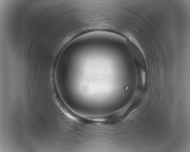 X0000067930389200604131428