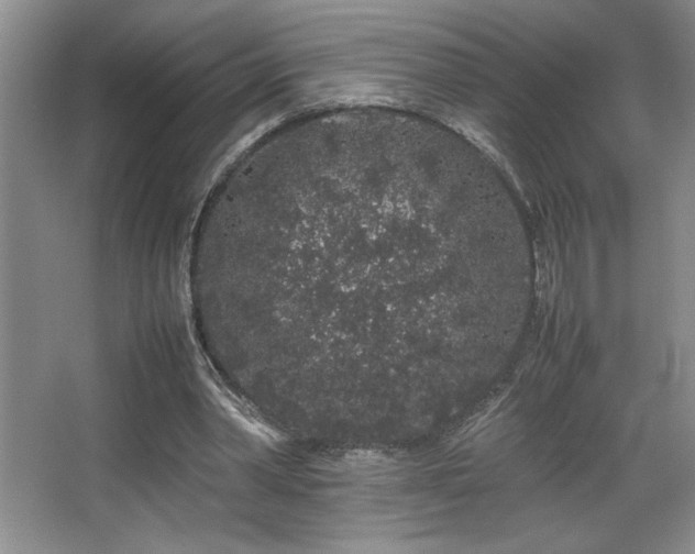X0000067930390200604131428