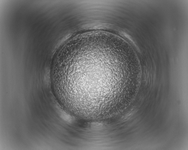 X0000067930394200604131428