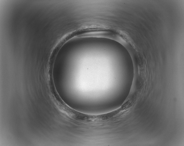 X0000067930395200604131428